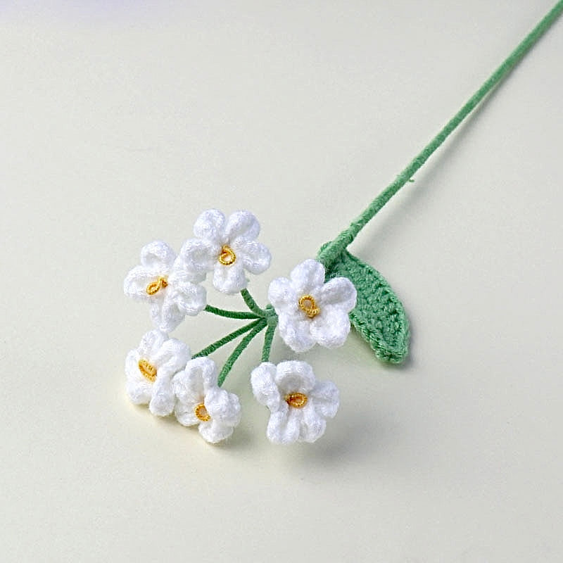 Myosotis