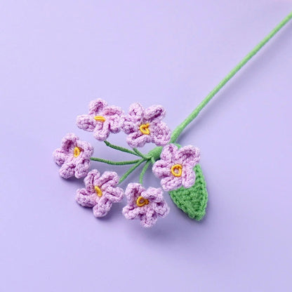 Myosotis