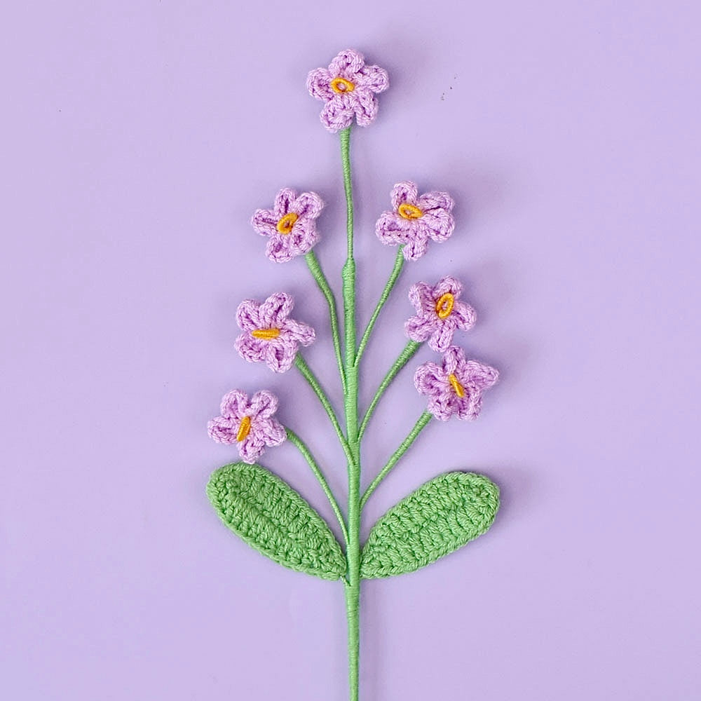 Myosotis