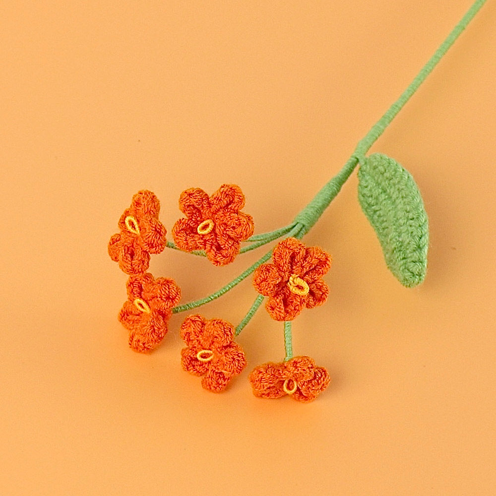 Myosotis