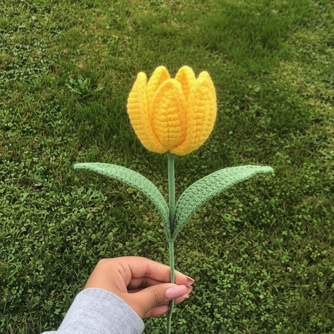 Tulipe