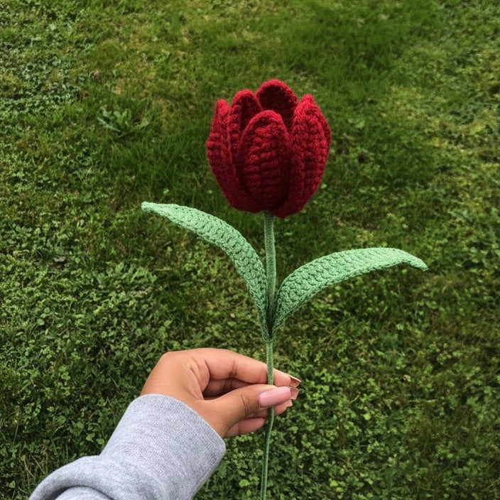Tulipe