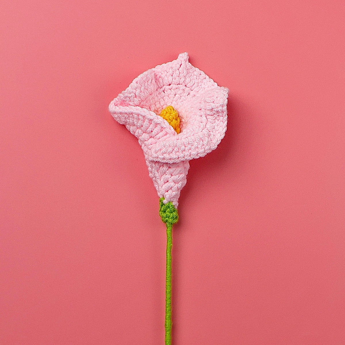 Arum