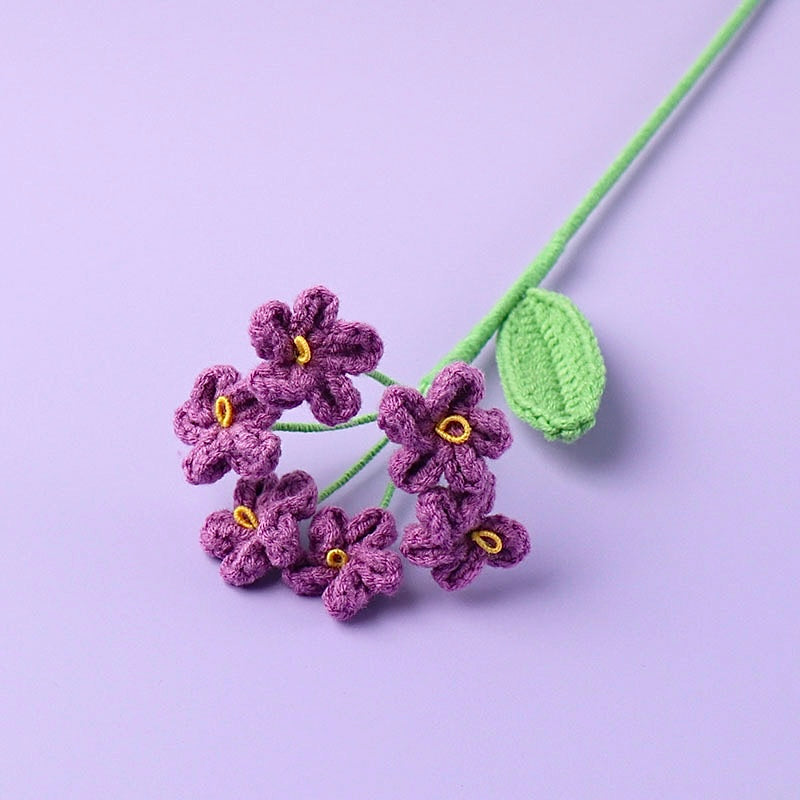 Myosotis