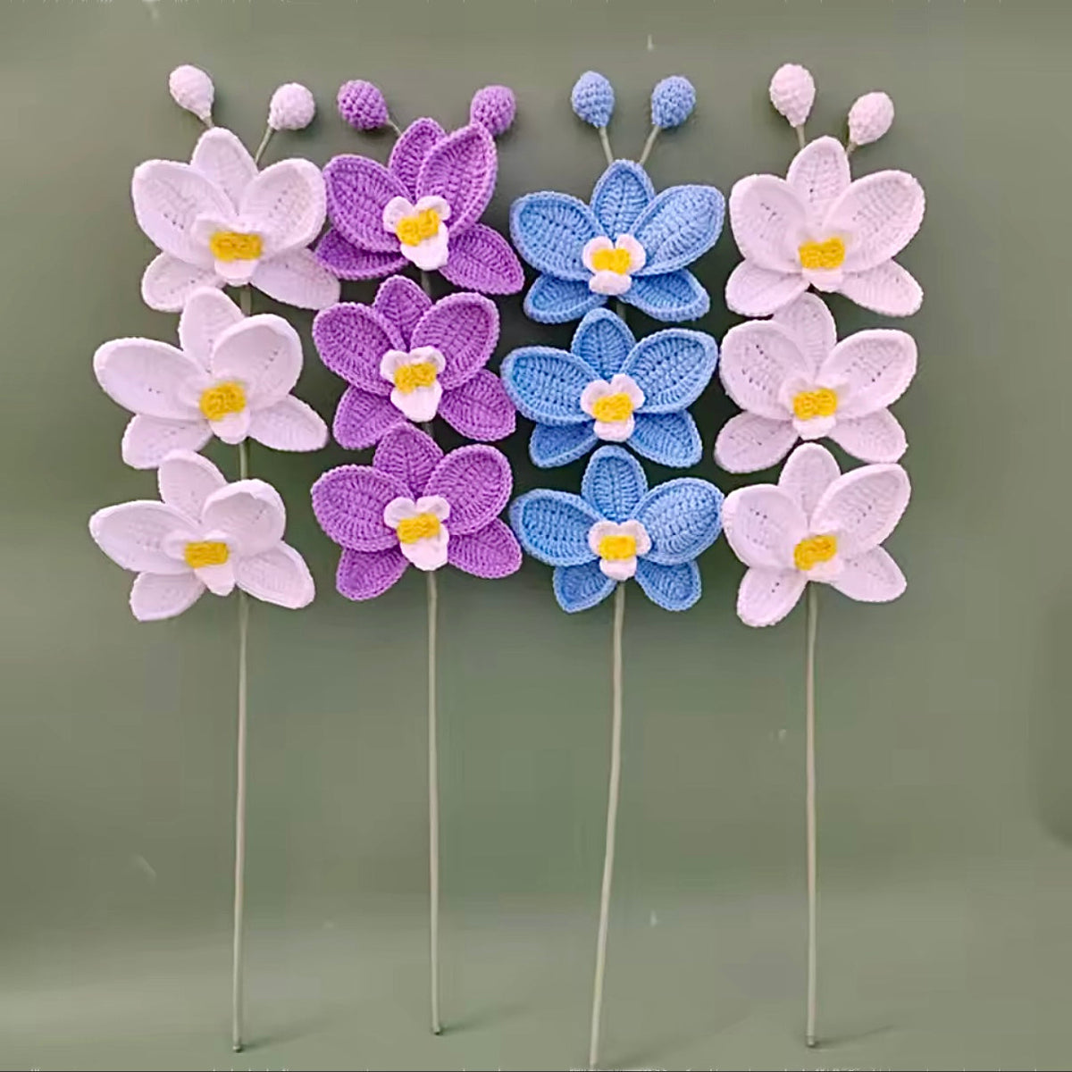 Orchidée