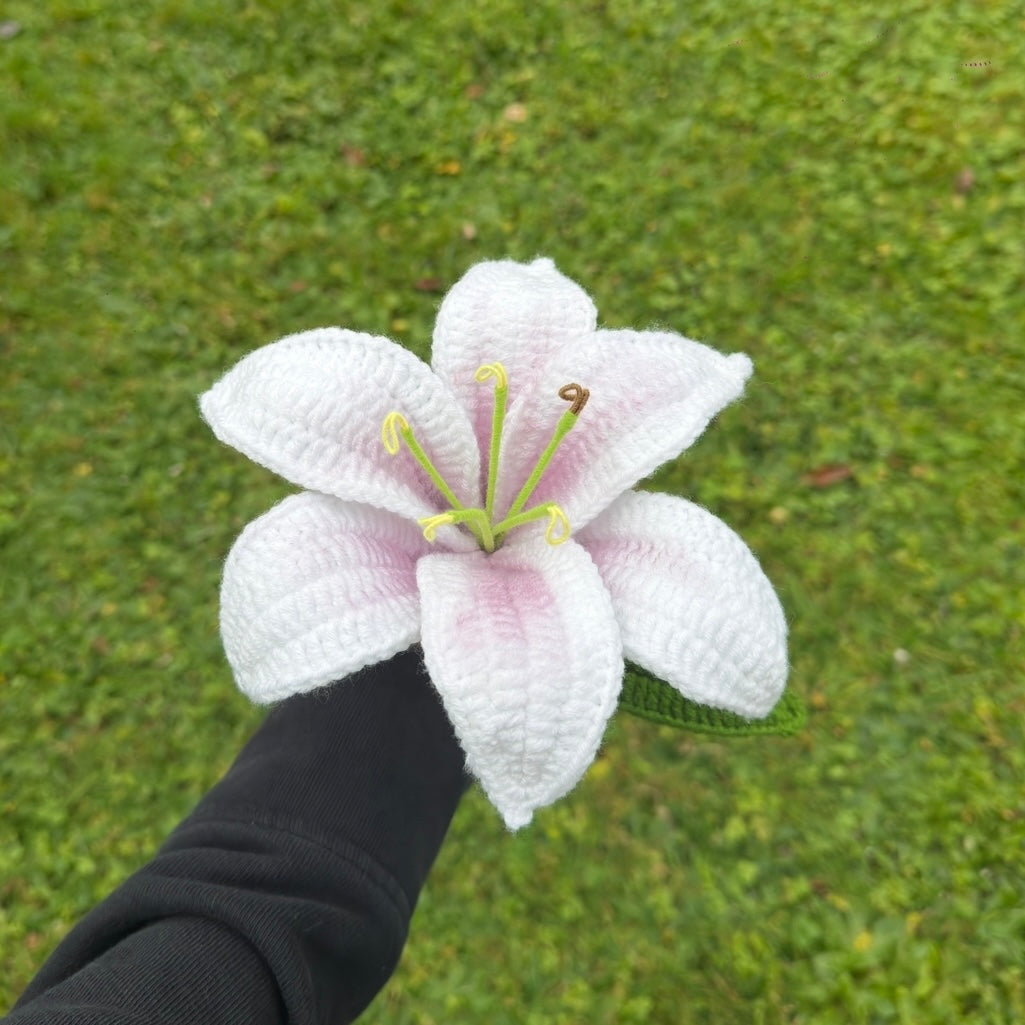 Lys